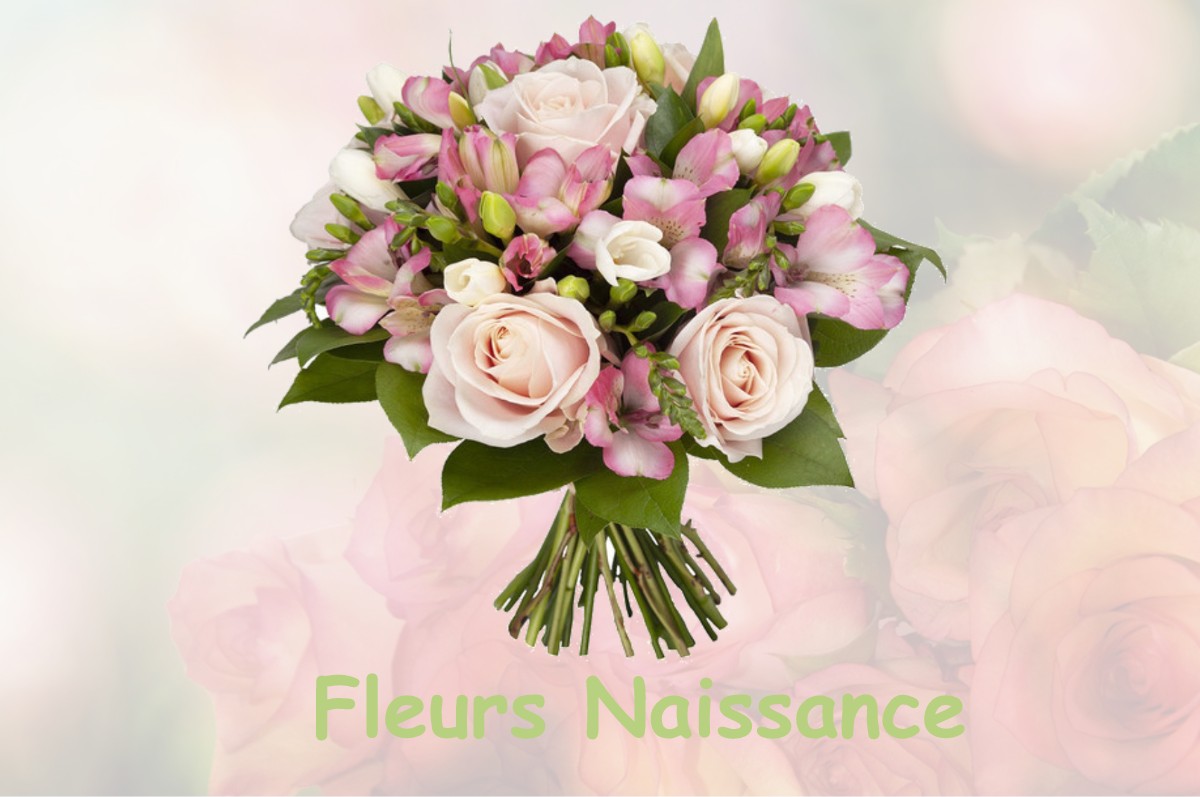 fleurs naissance GANNES