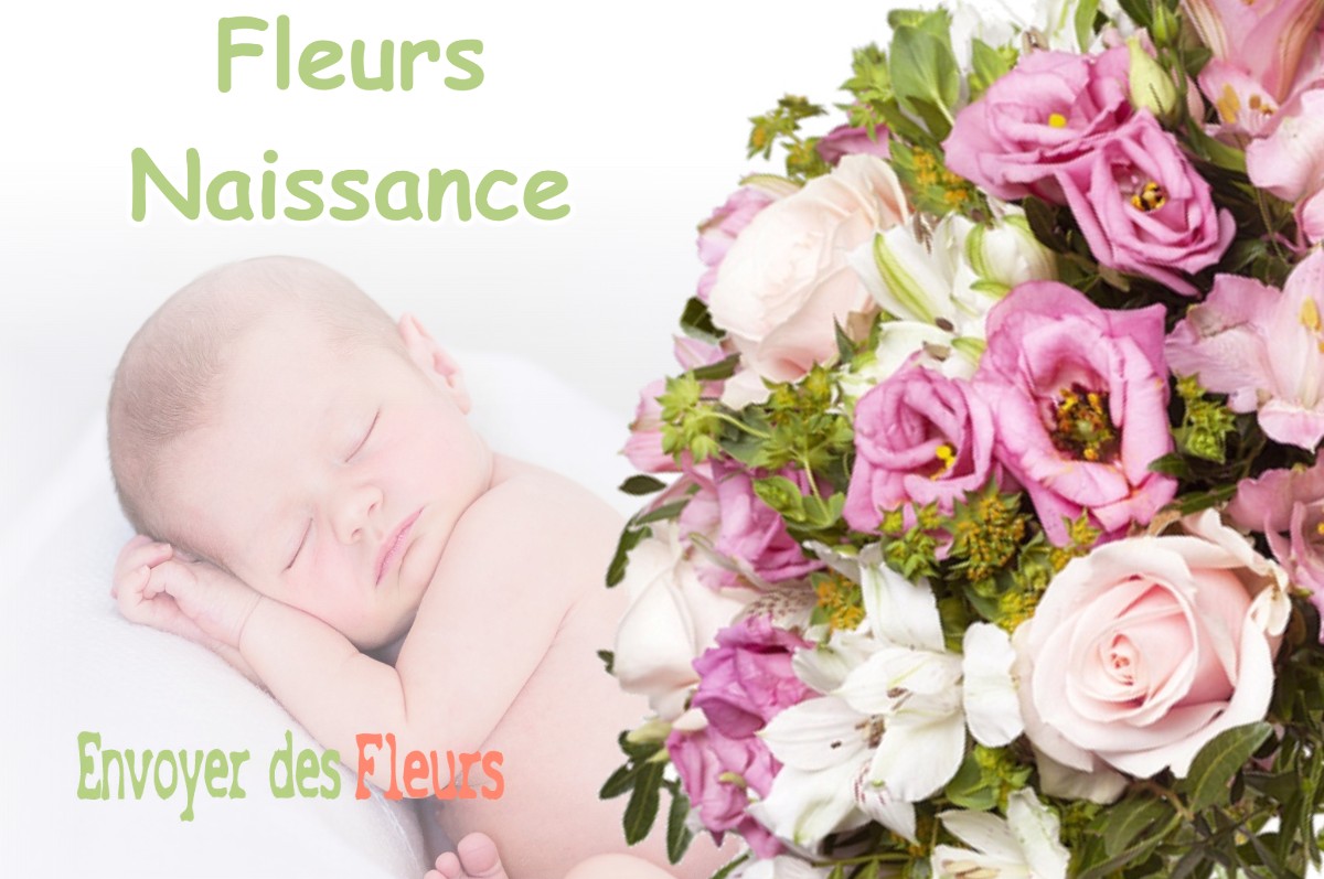 lIVRAISON FLEURS NAISSANCE à GANNES